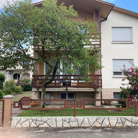 7 Flower Street Apartment 셈페터프리고리치 외부 사진