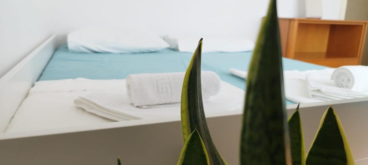 7 Flower Street Apartment 셈페터프리고리치 외부 사진