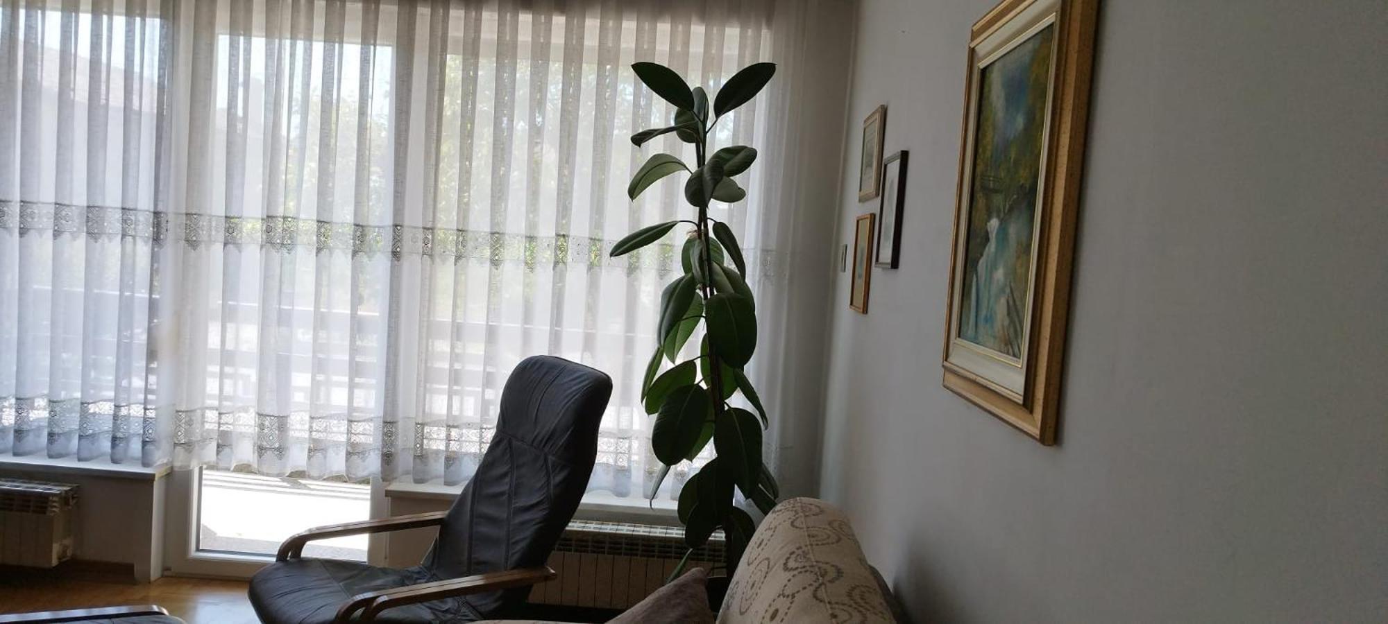 7 Flower Street Apartment 셈페터프리고리치 외부 사진