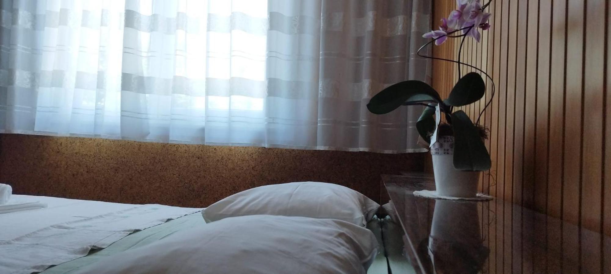 7 Flower Street Apartment 셈페터프리고리치 외부 사진