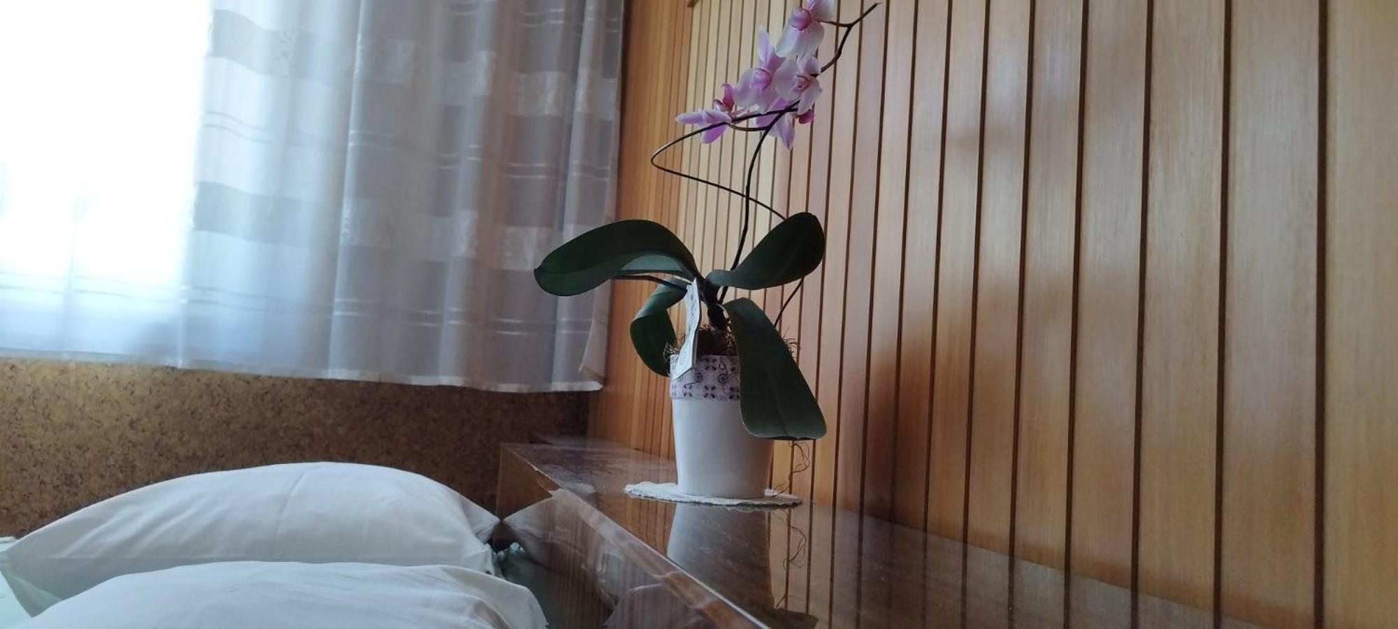 7 Flower Street Apartment 셈페터프리고리치 외부 사진